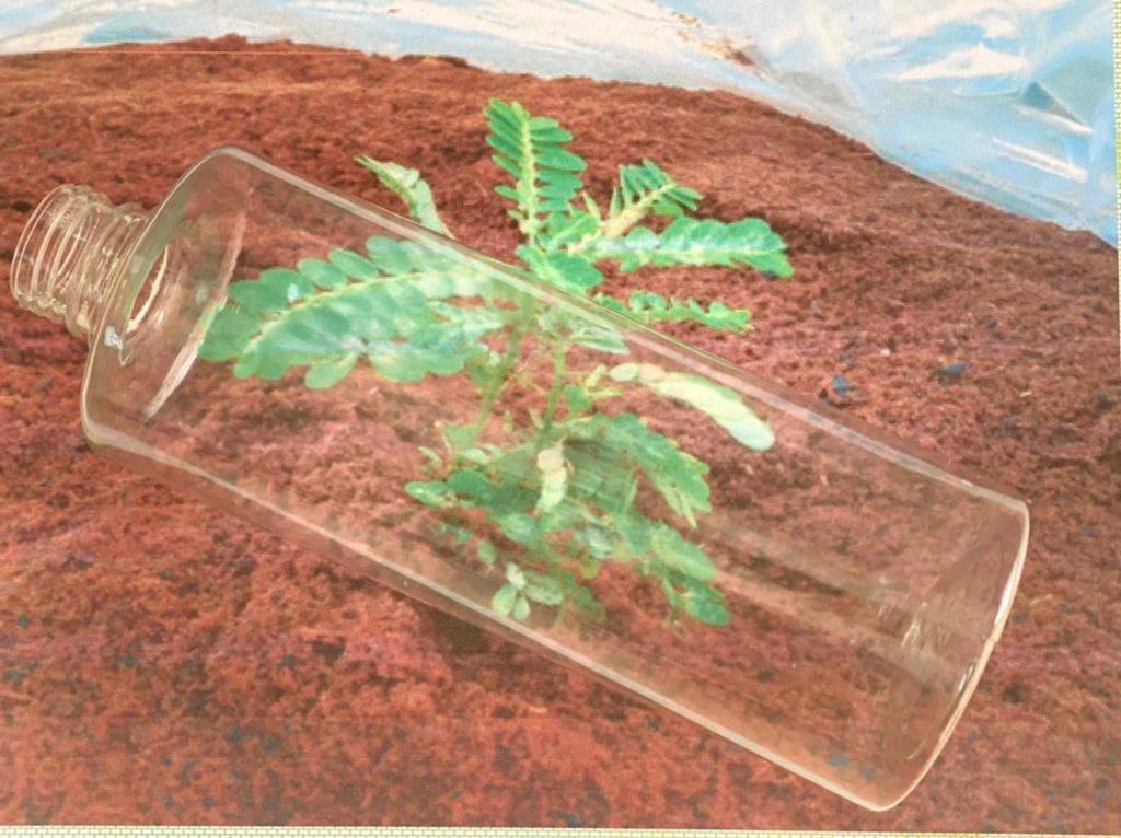 PLA bottle, plant-based bottle