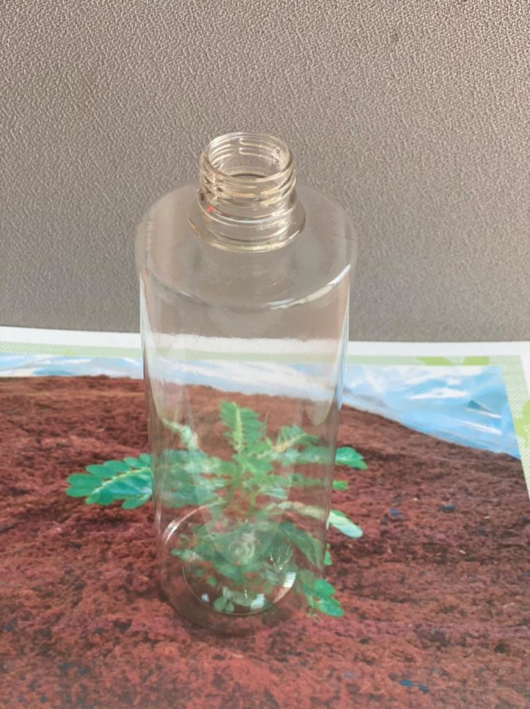 plant-based bottle
